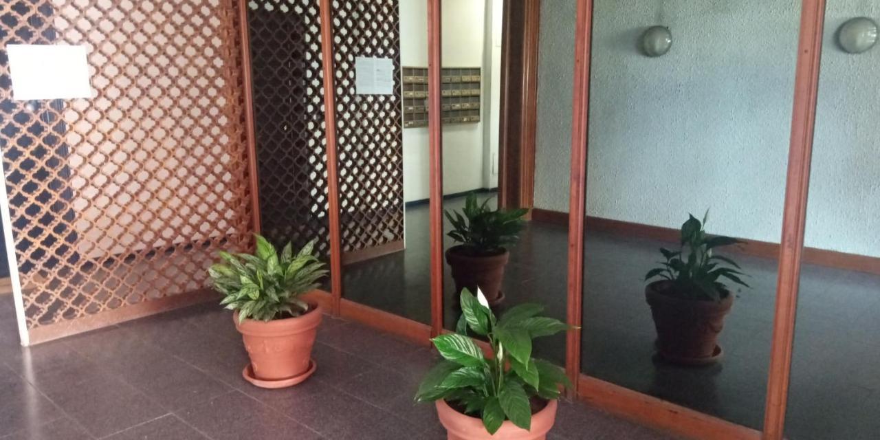 Aurelia - Apartment Begonia โรม ภายนอก รูปภาพ
